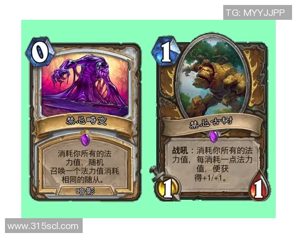 坎塞洛：从边锋到全能战士的蜕变之路与未来展望