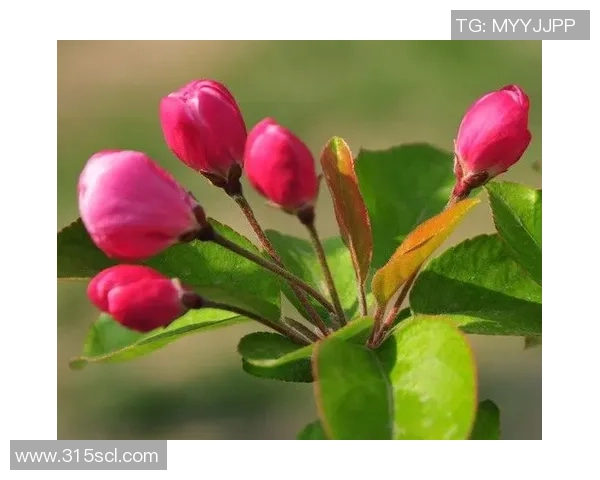 田宇翔的奋斗故事与成长历程如何激励年轻一代追求梦想与目标 田宇翔的奋斗故事与成长历程如何激励年轻一代追求梦想与目标