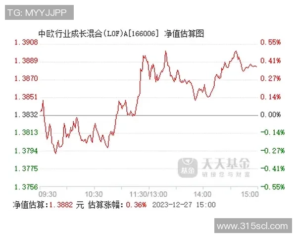 韩硕：从职场新秀到行业领军者的成长之路与成功秘诀探讨