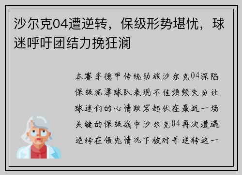 沙尔克04遭逆转，保级形势堪忧，球迷呼吁团结力挽狂澜